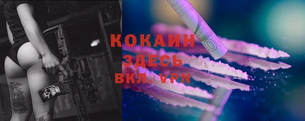 бошки Галич