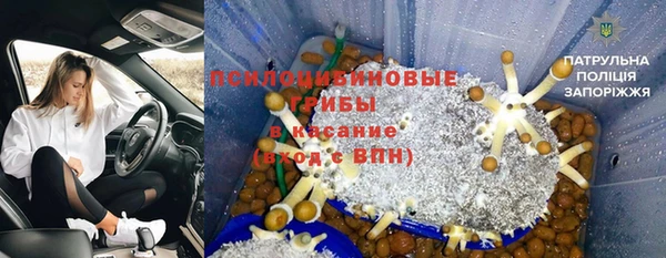 таблы Новозыбков