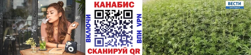 сайты даркнета клад  Кодинск  Шишки марихуана тримм  где купить наркоту  МЕГА как войти 